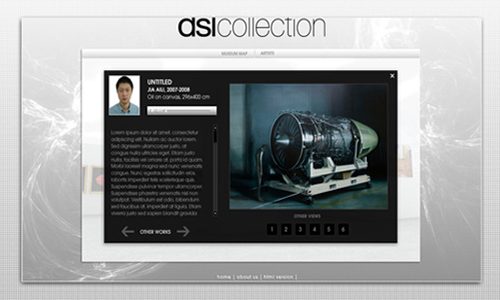 Virtual VISIT of the DSl Collection
